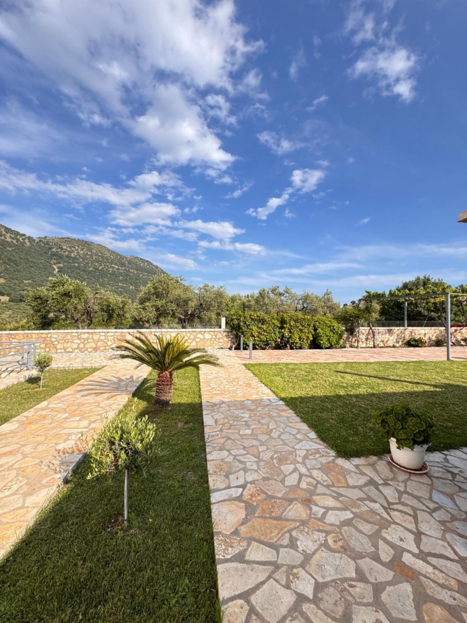 Apartment Belvedere &